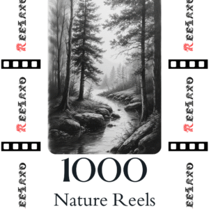 nature-reels-bundle